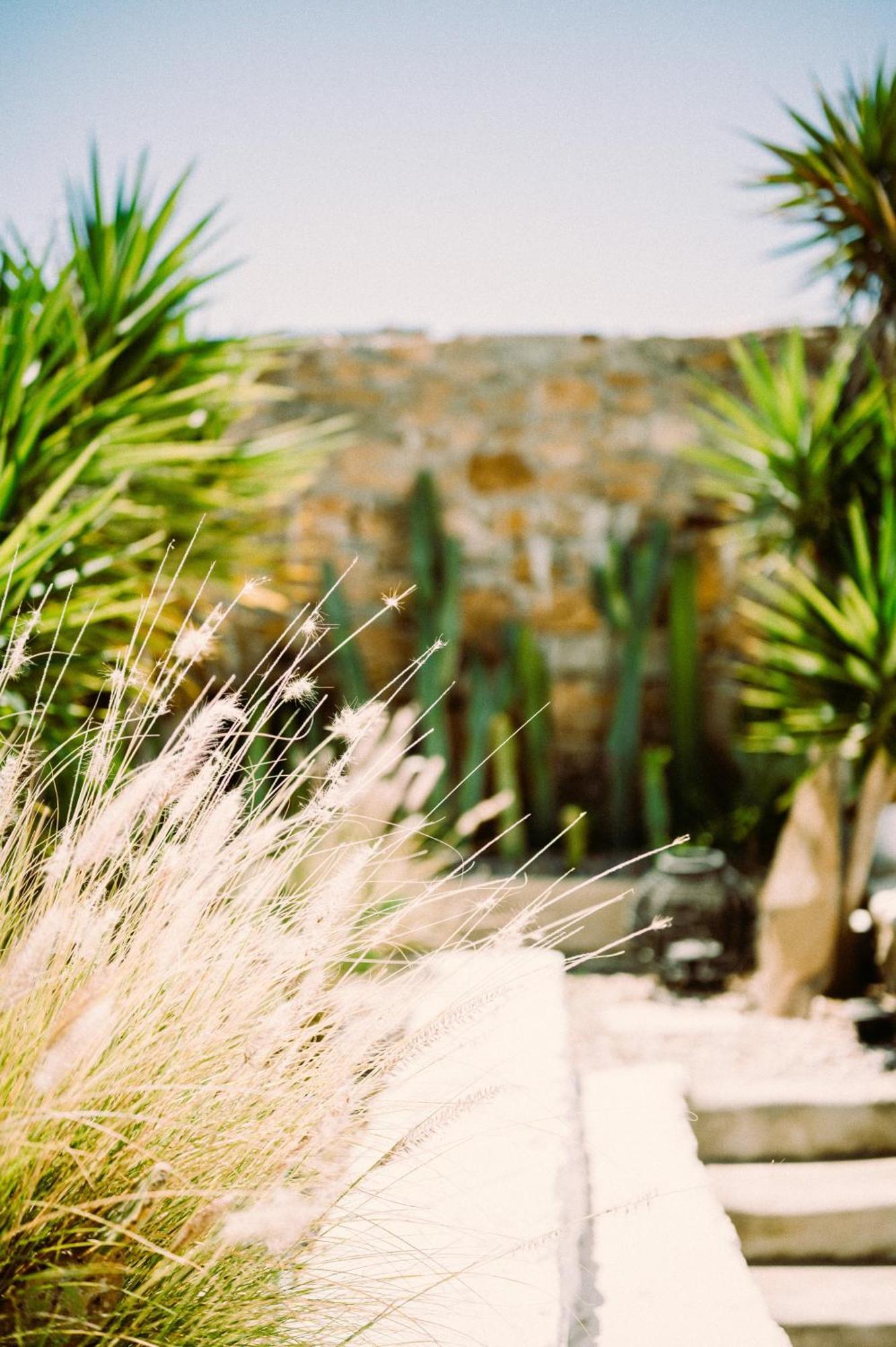 Sea Side Studios & Houses Kalo Livadi Exterior photo